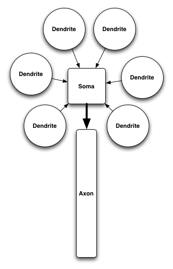 simple neuron model